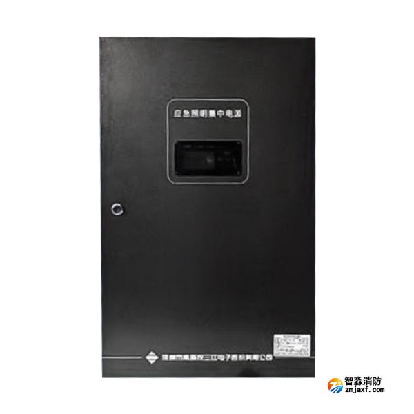天津海灣SJ-D-0.6KVA/P601AC應(yīng)急照明集中電源 4回路 壁掛式
