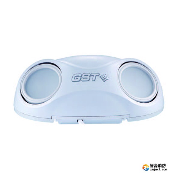 天津海灣HW-ZFJC-E3W-SN660集中電源集中控制型消防應(yīng)急照明燈具