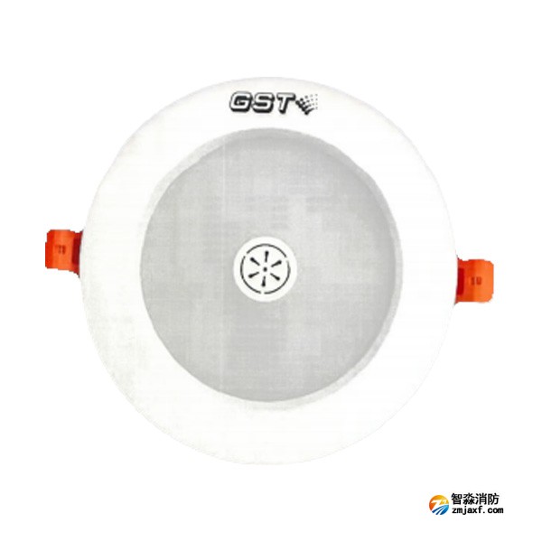 天津海灣HW-ZFJC-E6W-N651SG集中電源集中控制型消防應(yīng)急照明燈具