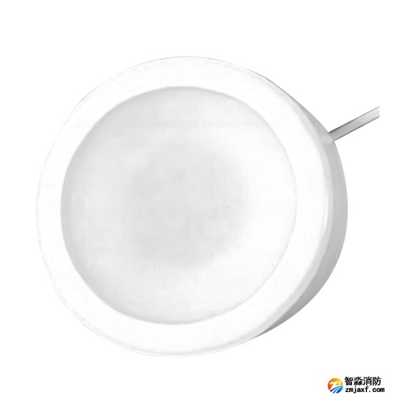 天津海灣HW-ZFJC-E6W-YN651C集中電源集中控制型消防應(yīng)急照明燈具